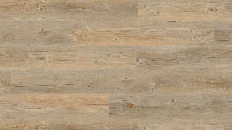 Project Floors Bioboden - ECO+ Collection ECO 3020/30 (ECO302030)