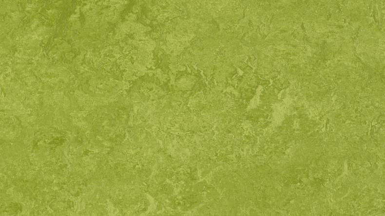 Forbo Linoleum Marmoleum Fresco - green 3247-2.5