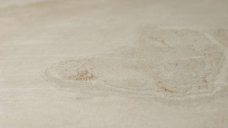 planeo EVOLITH Slate&Stone - Revêtement mural en pierre naturelle Siena Dust 1220 x 610 mm