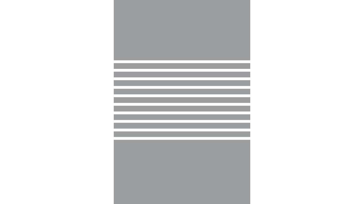 planeo Gardence Flair - Brise-vue en verre, bandes verticales