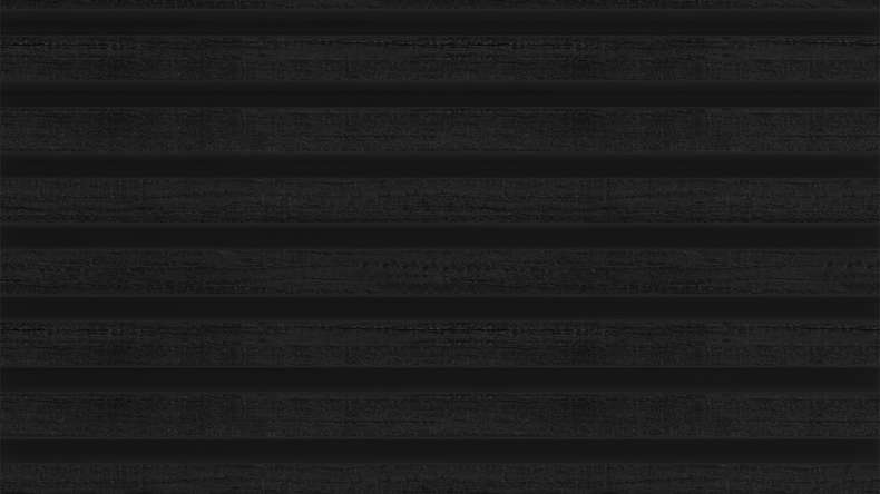 planeo LINEA Slim - Bardage de façade en WPC CoEx noir 2900 x 215 mm
