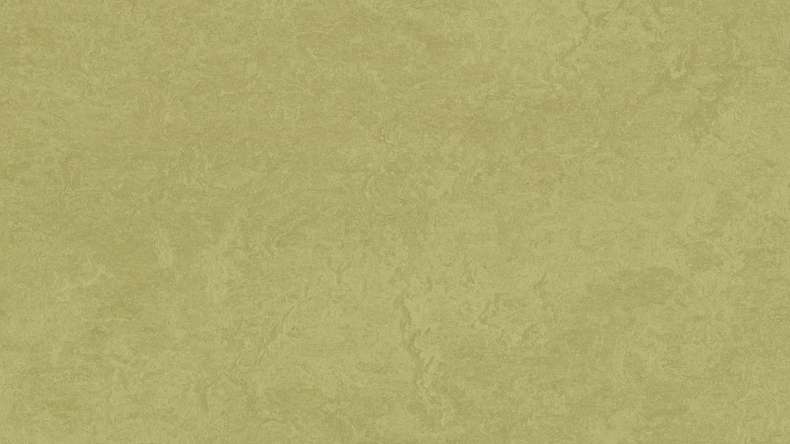 Forbo Linoleum Marmoleum Fresco - avocado 3265-2.5