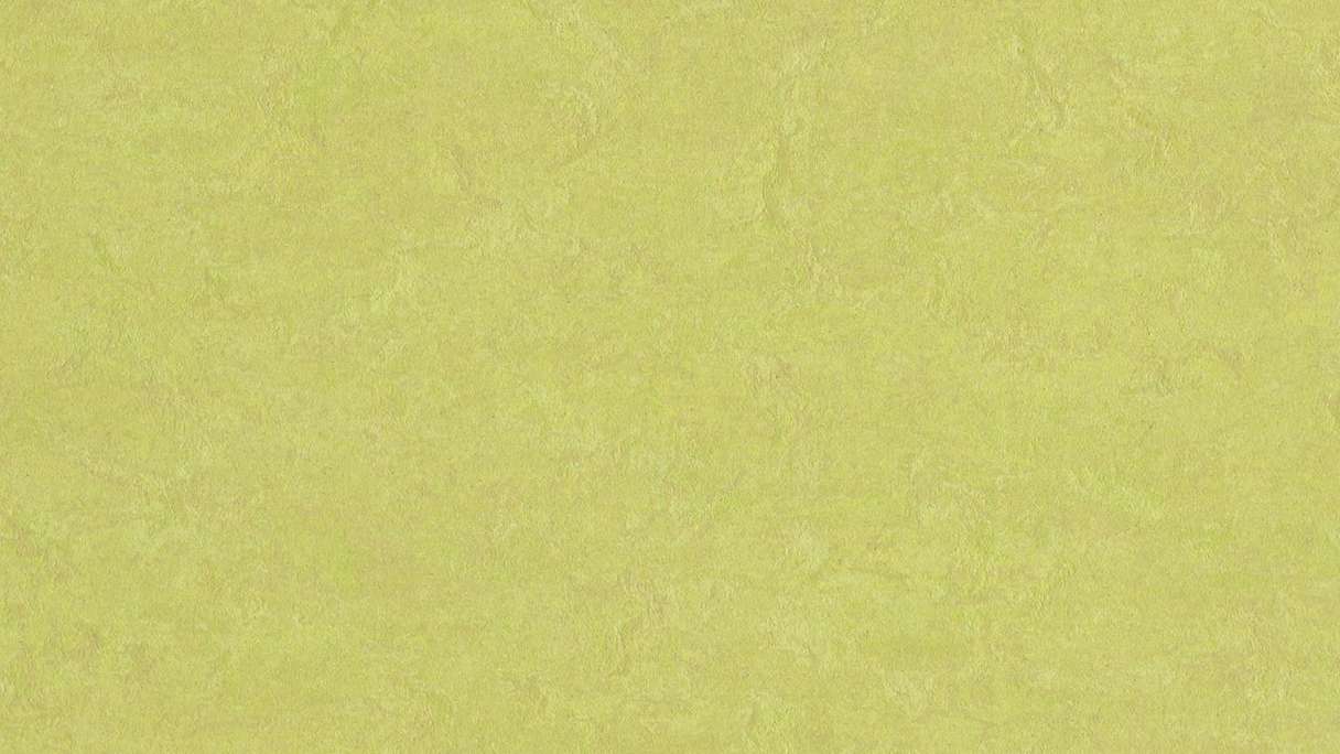 planeo linoleum click Linoklick - Germogli di primavera - 333885