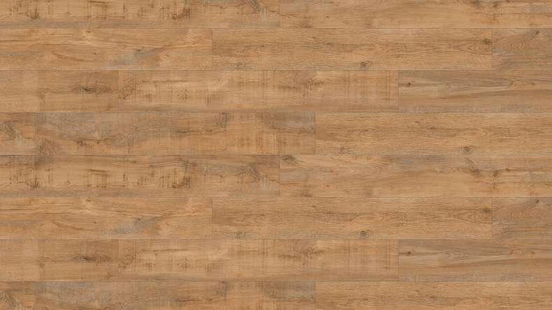 Gerflor Vinyle à clic Rigid - Création 40 Clic Acoustique Savage Oak Honey | Isolation phonique intégrée (61301709)