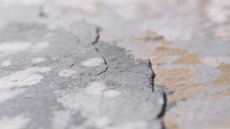 planeo EVOLITH Slate&Stone - Rivestimento in pietra naturale Terracrust 1220 x 610 mm