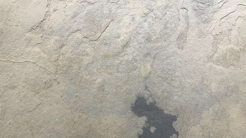 planeo EVOLITH Slate&Stone - Revêtement mural en pierre naturelle Siena Dust 1220 x 610 mm