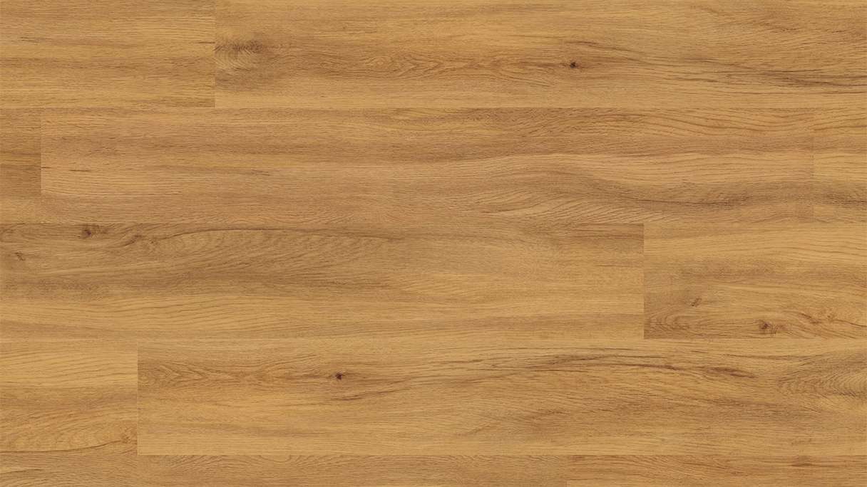 planeo Vinyle à clic rigide - FlexCore 30 Pure Oak | Isolation phonique intégrée (plfc-5122FS30)