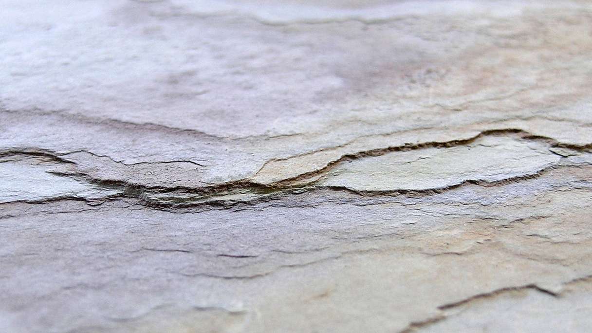 planeo EVOLITH EasyFix - Naturstein Wandverkleidung Autumn Drift 600 x 300 mm - 6Stk.