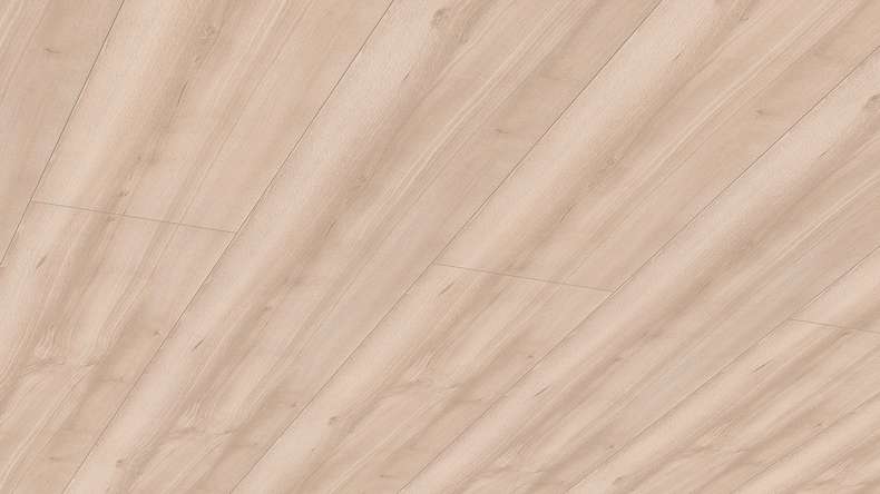 Meister Paneele - Bocado 250 1,28m Buche pure (300007-1280250-04094 - 4811124094)