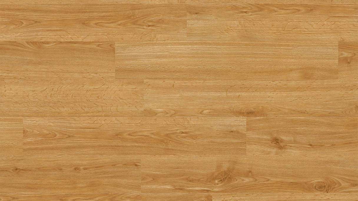 Project Floors Bioboden - ECO+ Collection ECO 1231/30 (ECO123130)