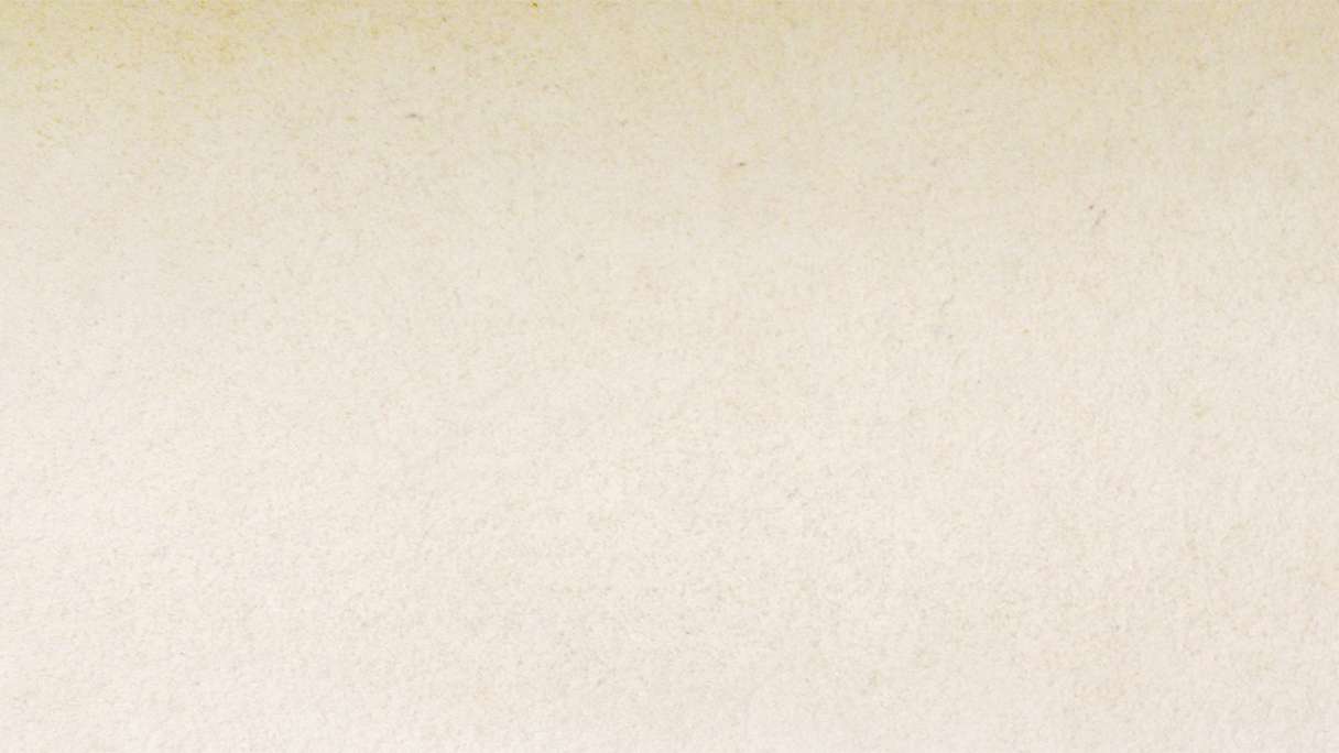 planeo EVOLITH Slate&Stone - Revêtement mural en pierre naturelle White Core 1220 x 610 mm