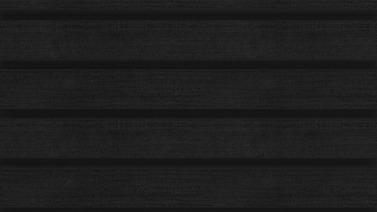 planeo LINEA Wide - WPC CoEx Fassadenverkleidung Schwarz 2900 x 181 mm