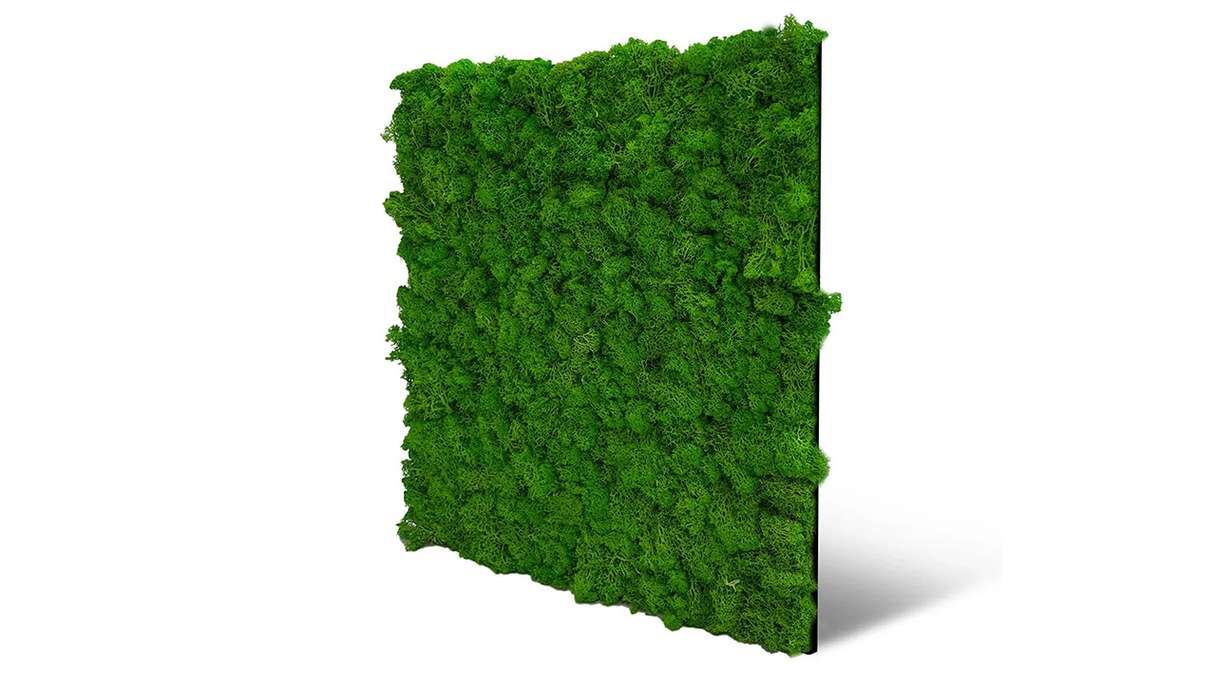 planeo Akustikpaneel - MixWall Living Moss Rich Green 52 x 52 cm | Natur-Moos (PLMW-10111)