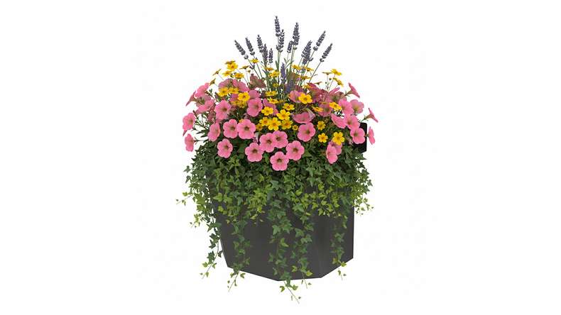 planeo Vario - Blumenbox 3
