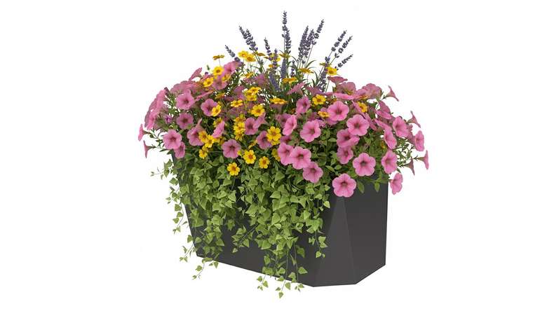 planeo Vario - Blumenbox 2