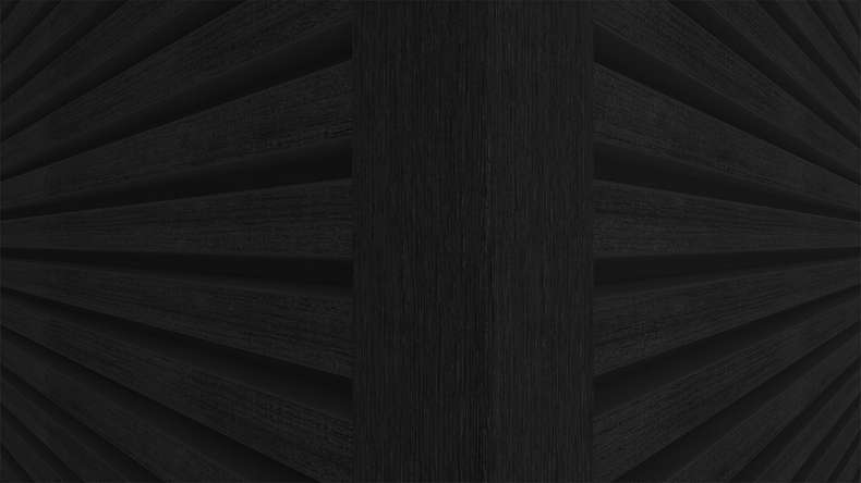 planeo LINEA Slim - Bardage de façade en WPC CoEx noir 2900 x 215 mm