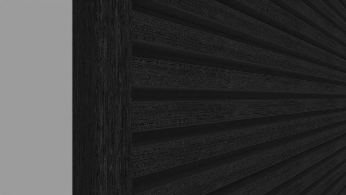 planeo LINEA Slim - Bardage de façade en WPC CoEx noir 2900 x 215 mm