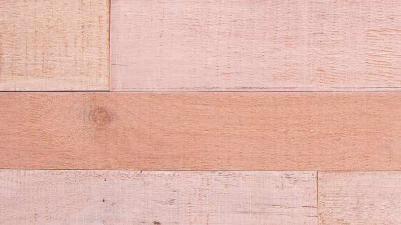 planeo WoodWall - Mur de baraque FSC Lombardie
