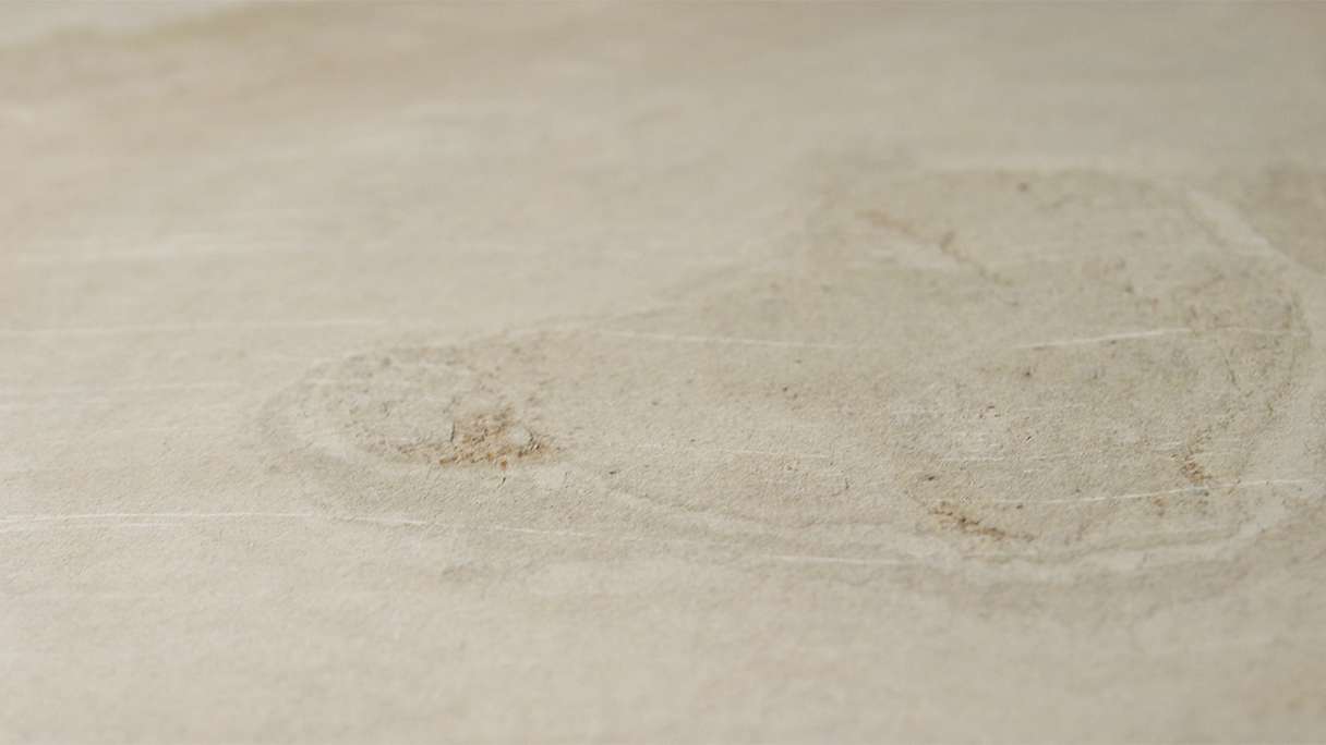 planeo EVOLITH Slate&Stone - Naturstein Wandverkleidung Siena Dust 1220 x 610 mm