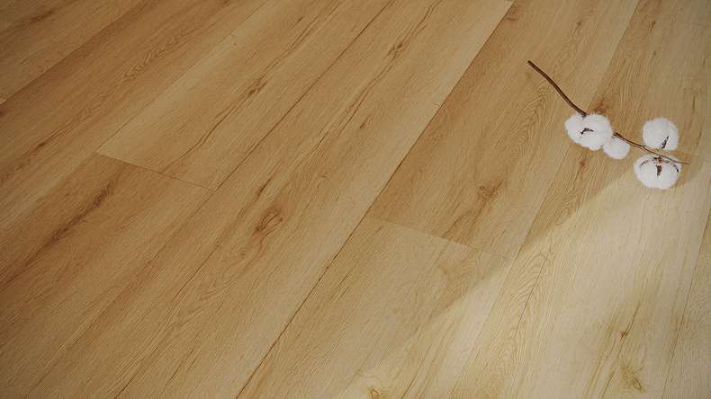 planeo Vinyle à clic rigide - HOMEtec Pro 50 IXPE Pure Canyon Oak | Isolation phonique intégrée (RP-G50-3)