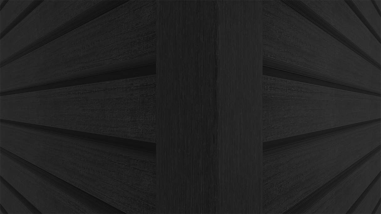 planeo LINEA Wide - WPC CoEx Fassadenverkleidung Schwarz 2900 x 181 mm