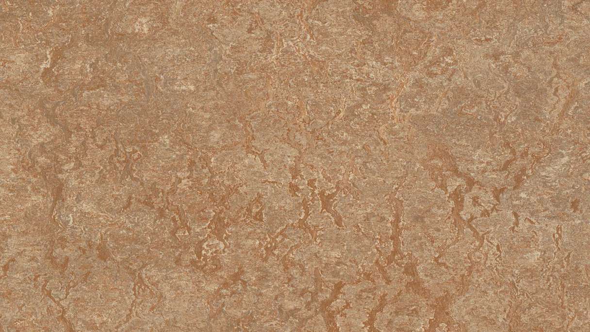 Forbo Linoleum Marmoleum Real - shitake 3233 - 2.5mm