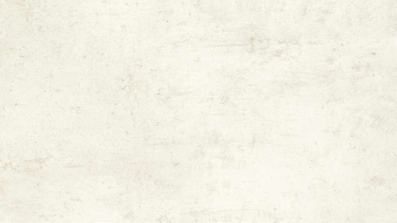 Wandverkleidung Kunststoff - planeo StrongWall - Light Cement