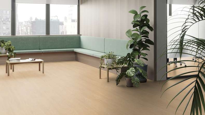 Gerflor Sol PVC clipsable - Virtuo 55 Rigid Acoustic EIR Blomma Clear | isolation phonique intégrée (39061462)