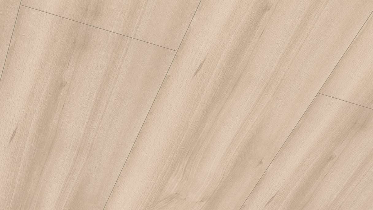 Meister Paneele - Bocado 250 Buche pure 4094