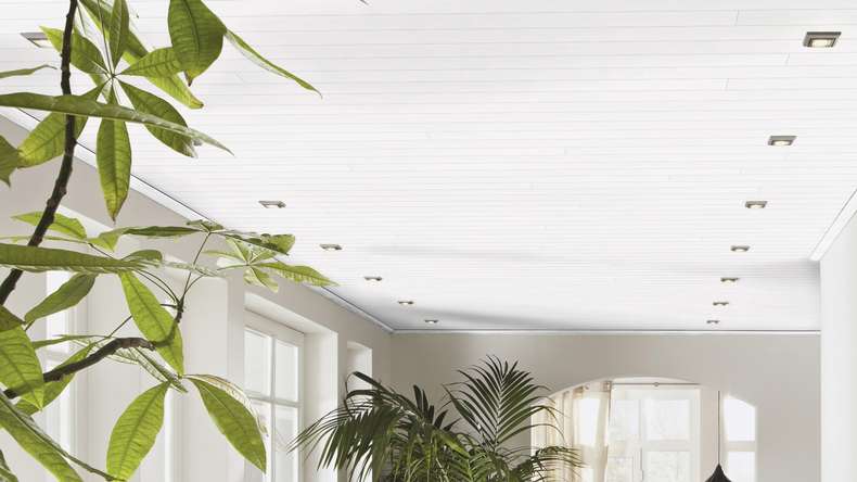 Pannelli Meister - Bocado 250 1,28m Fineline bianco