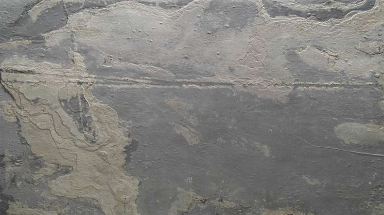planeo EVOLITH Slate&Stone - Rivestimento in pietra naturale Terracrust 1220 x 610 mm