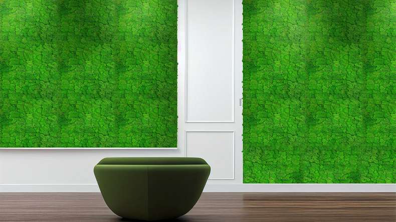 planeo Akustikpaneel - MixWall Living Moss Rich Green 52 x 52 cm | Natur-Moos (PLMW-10111)