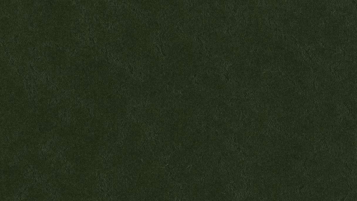 Forbo Linoleum Marmoleum Walton - bottle green 3359 - 2.5mm