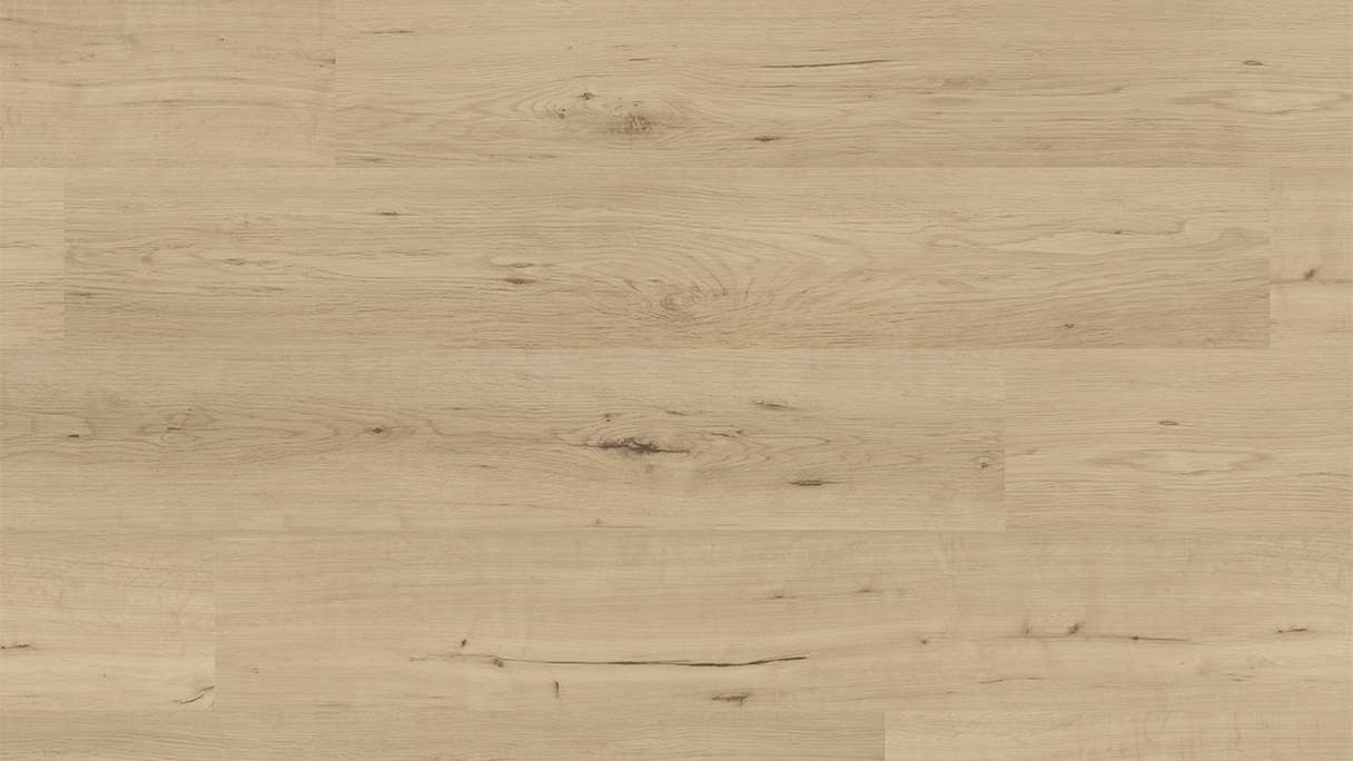 planeo Vinyle à clic rigide - FlexCore 30 Misty Oak | Isolation phonique intégrée (plfc-5023FS30)