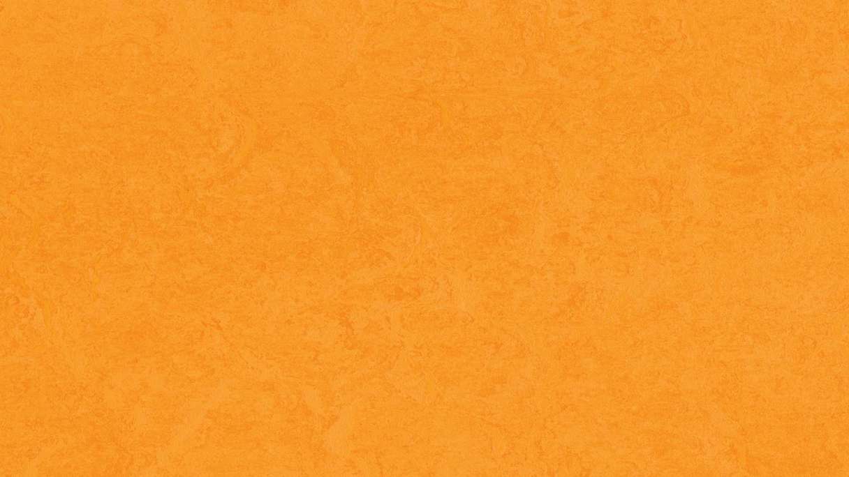 Forbo Linoleum Marmoleum Fresco - marigold 3262 - 2.5mm