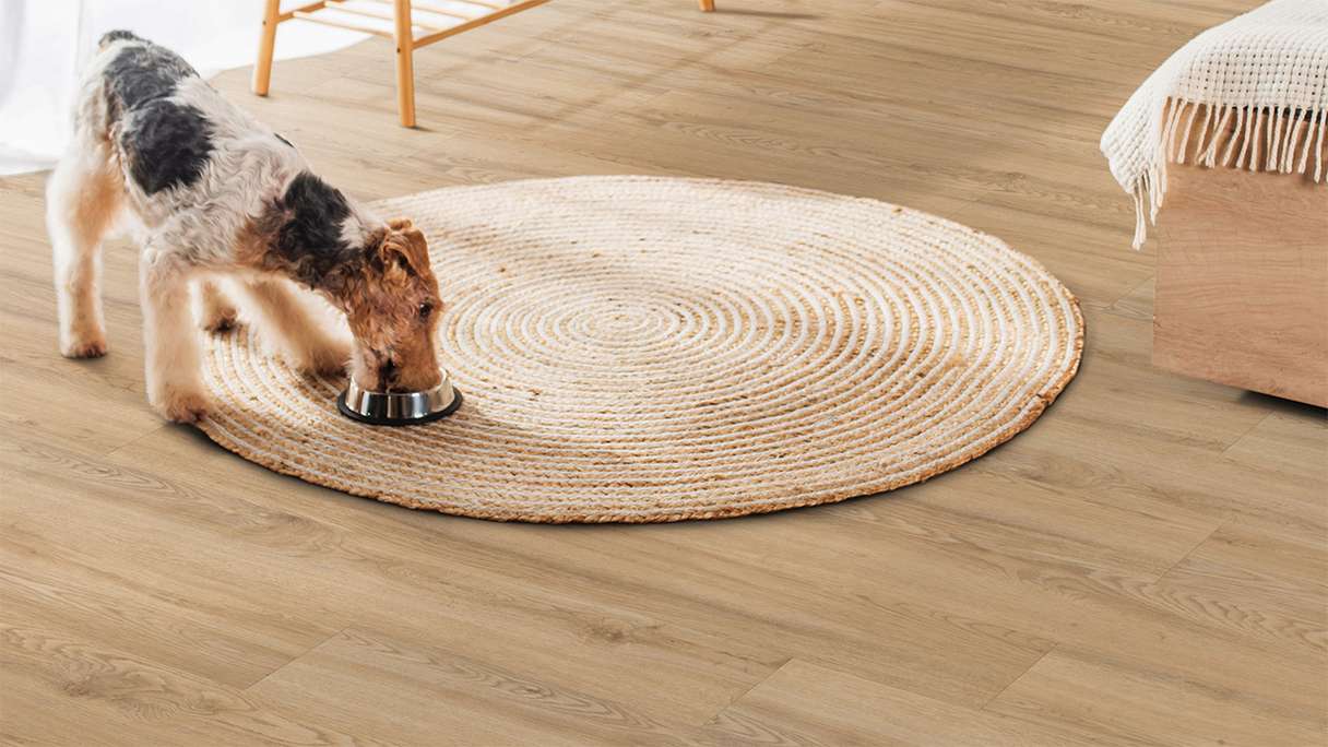 planeo Vinyle à clic rigide - FlexCore 30 Oyster Oak | Isolation phonique intégrée (plfc-5220FS30)