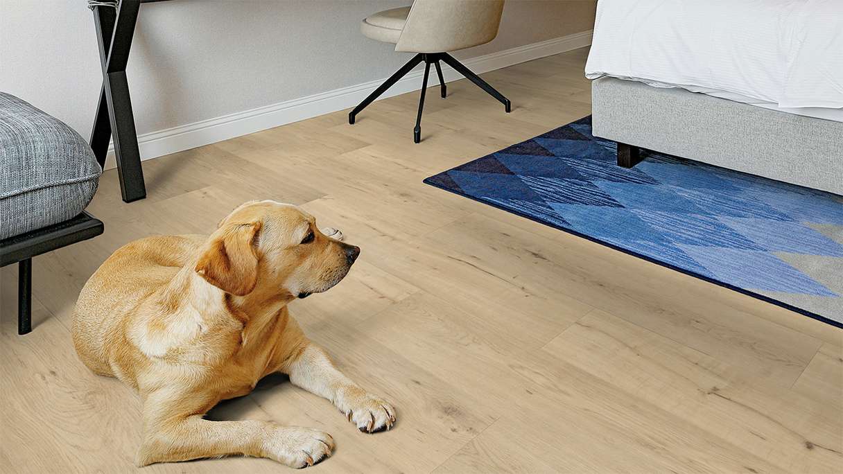 planeo Vinyle à clic rigide - FlexCore 55 Misty Oak | Isolation phonique intégrée (plfc-5023FS55)