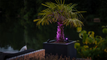 planeo Castor Smart 12V - LED-Zigbee Strahler