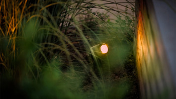 planeo Castor Smart 12V - LED-Zigbee Strahler