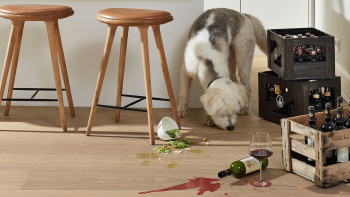 MEISTER Holzboden - Lindura HD 400 Eiche natur champagner (500012-2200270-08922 - 633022892227)