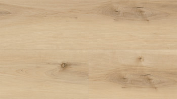 Wineo Klick Vinyl Multilayer - 400 wood XL Nordic Maple Cream | Trittschalldämmung integr. (MLD289WXL)