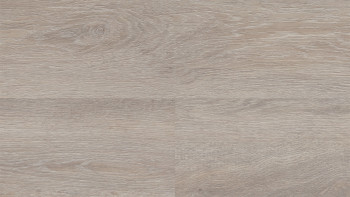 Wineo Klick Vinyl Multilayer - 400 wood XL Limed Oak Silver | Trittschalldämmung integr. (MLD301WXL)