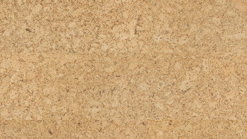 Wicanders Korkboden zum Klicken - Go4Cork Ambition - edelfurniert (GB06002)