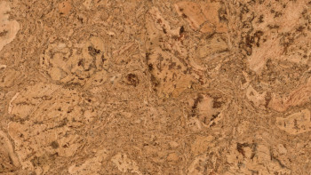 Wicanders Korkboden zum Klicken - Cork Essence Originals Dawn (O849003)