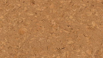 Wicanders Korkboden zum Klicken - Cork Essence Originals Dawn (O849003)