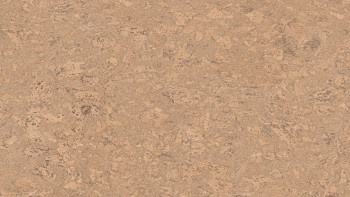 Wicanders Korkboden zum Klicken - Cork Essence Personality Champagne (P805002)