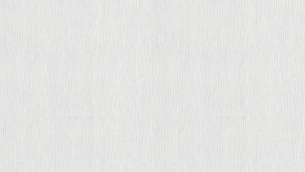 Vinyltapete weiß Modern Streifen Meistervlies 2020 017