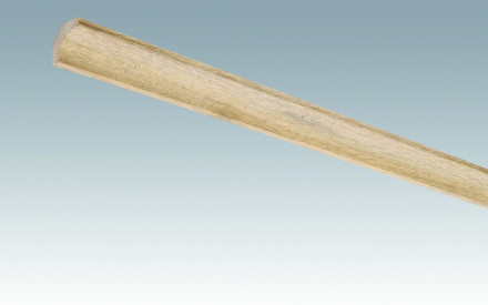 MEISTER Sockelleisten Hohlkehlleisten Eiche rustikal 4083 - 2380 x 22 x 22 mm
