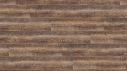 KWG Klick Vinyl - Antigua Classic Hydrotec Edelfichte antik (520029)