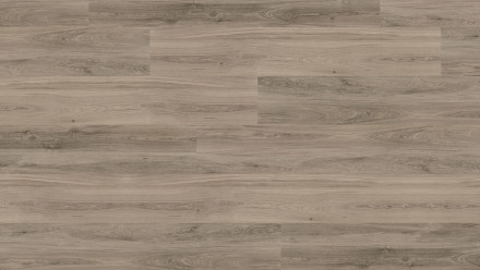 KWG Klebevinyl - Antigua Professional Graueiche (790004)
